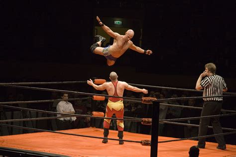 pro and college sports are fake - Why is professional wrestling faked but high school and college .